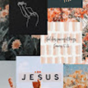 Meet your Posher, Nora